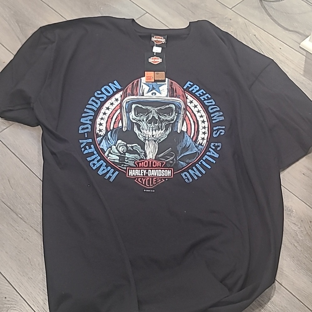 Harley-Davidson Black Short Sleeve Tee with Patriotic Skull Rider Graphic
